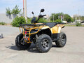 2026 Irbis ATV 200U, золотистый, 168200 рублей