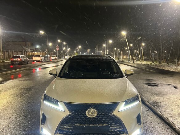 2019 Lexus RX 300 IV Рестайлинг, белый, 6500000 рублей - вид 6