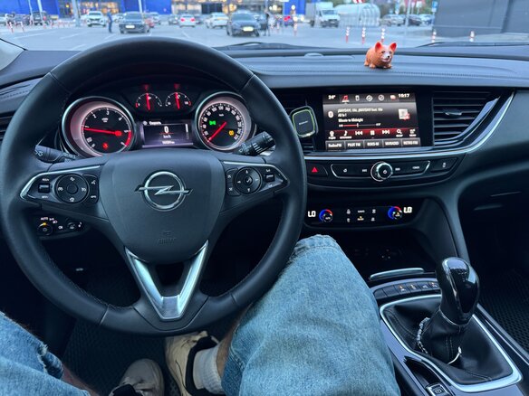 2018 Opel Insignia II, серый, 1300000 рублей - вид 29