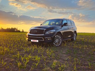 2017 Infiniti QX80 I Рестайлинг, чёрный, 3440000 рублей, вид 1