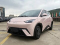 2024 BYD Seagull 30.08 kWh I, розовый