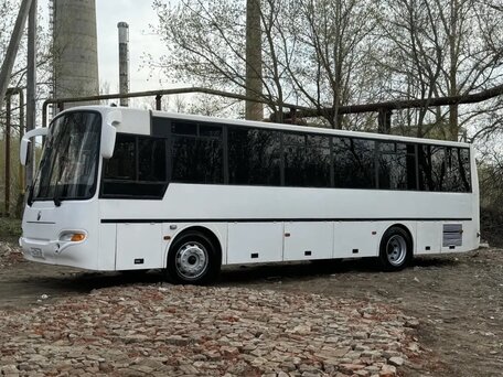 2010 КАвЗ 4238, белый, 699000 рублей, вид 1