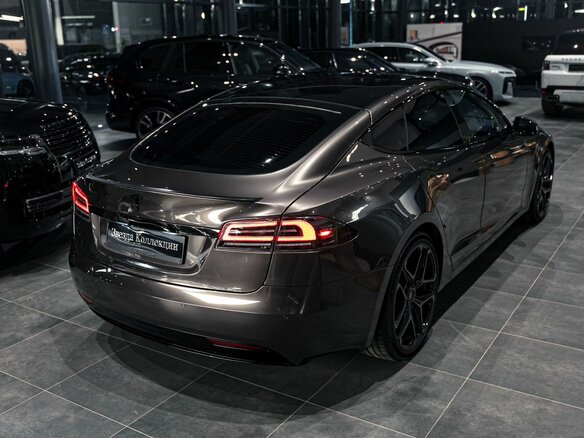 2019 Tesla Model S Performance I Рестайлинг, серый - вид 8