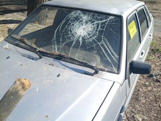 2007 Lada (ВАЗ) 2115, серебристый, 125000 рублей, вид 2