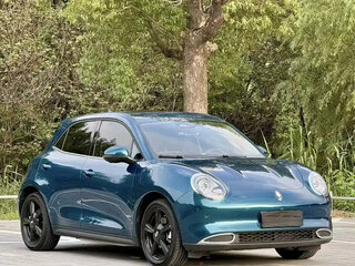 2024 Ora Good Cat 46 kWh I, зелёный, 1750000 рублей, вид 3