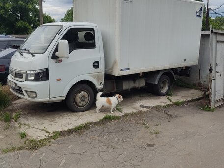 2023 Dongfeng Captain-T, белый, 1000000 рублей, вид 2