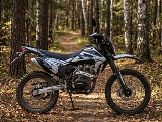 2026 Progasi Palma 300, серый, 115000 рублей, вид 1
