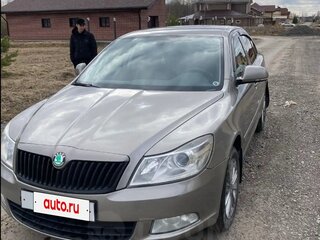 2010 Skoda Octavia II (A5) Рестайлинг, серый, 710000 рублей, вид 1