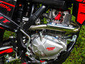 2026 PitonMoto MX5 QUANT CB300RL, красный, 189990 рублей - вид 4