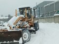 2008 Mista RD165-C, жёлтый, 3200000 рублей - вид 2