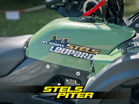 2023 Stels ATV-650YL Leopard, зелёный, 619000 рублей, вид 5
