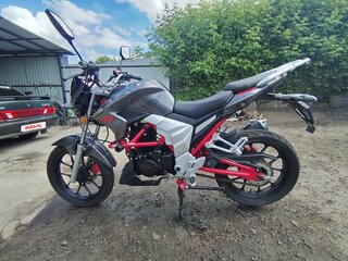 2024 Regulmoto Raptor 250, серый, 125000 рублей, вид 3