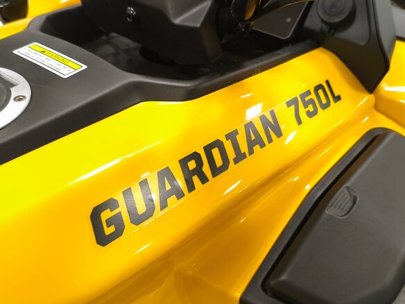 2026 Hisun Guardian, жёлтый, 735000 рублей - вид 11