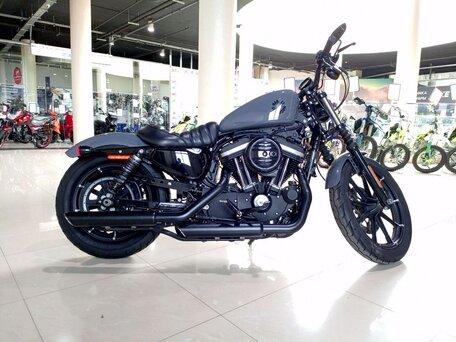 2022 Harley-Davidson Sportster 883, серый, 830000 рублей, вид 5