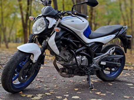 2015 Suzuki SFV 650 Gladius, синий, 501000 рублей, вид 3