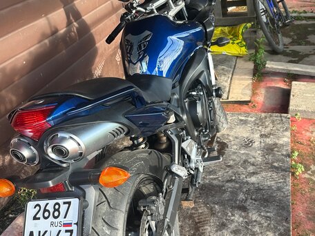2008 Yamaha FZ6, синий, 619999 рублей, вид 1