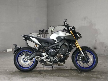 2019 Yamaha MT-09 (FZ-09), серый, 890000 рублей, вид 1