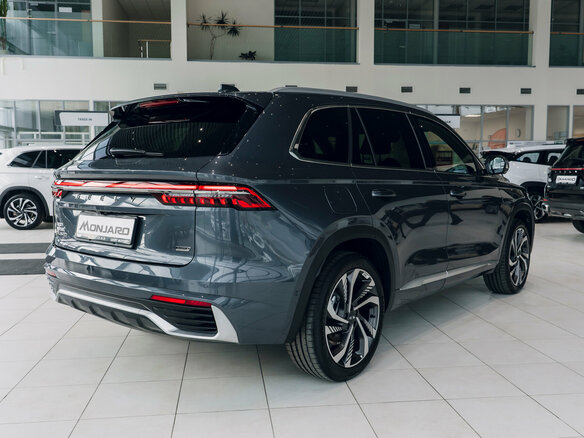 2026 Geely Monjaro I, серый - вид 10