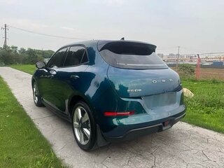 2021 Ora Good Cat 47.8 kWh I, зелёный, 1420000 рублей, вид 5