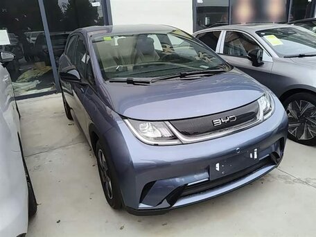 BYD Dolphin I