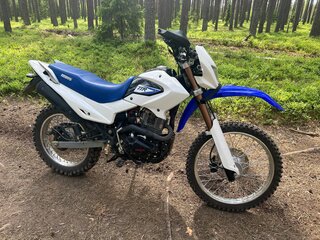 2024 Irbis TTR 250, белый, 130000 рублей, вид 3