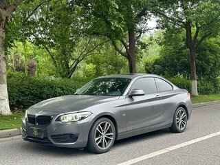 2018 BMW 2 серии F22 Рестайлинг, серый, 1670002 рублей, вид 5