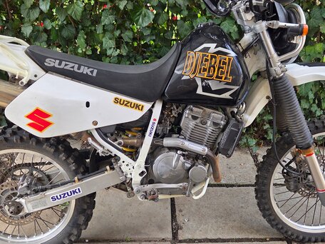2001 Suzuki Djebel 250, белый, 250000 рублей, вид 4