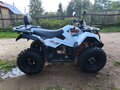 2025 Kayo A300, белый, 300000 рублей - вид 6