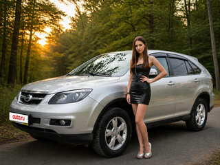 2013 BYD S6, серебристый, 1000000 рублей, вид 1