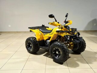 2026 Motoland Wild 125, серый, 112300 рублей, вид 1