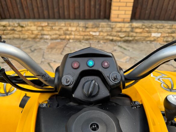 2008 BRP Can-Am DS 250, жёлтый, 329990 рублей - вид 10