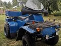 1992 ЗиМ 6.901, синий, 100000 рублей - вид 6