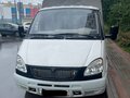 2008 ГАЗ ГАЗель (3302), белый, 540000 рублей