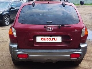 2002 Hyundai Santa Fe I, красный, 310000 рублей, вид 2
