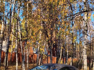 2007 Honda Civic VIII, серый, 380000 рублей, вид 4