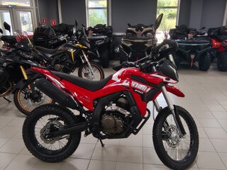 2026 Loncin DS250, красный, 258000 рублей, вид 5