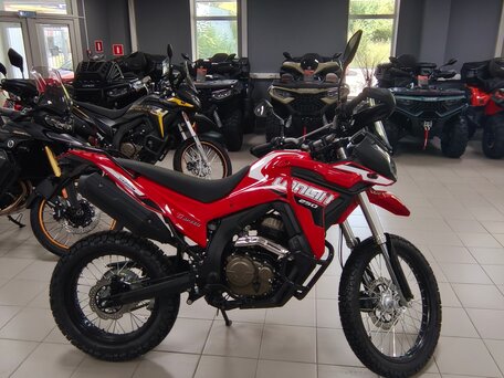 2026 Loncin DS250, красный, 258000 рублей, вид 5