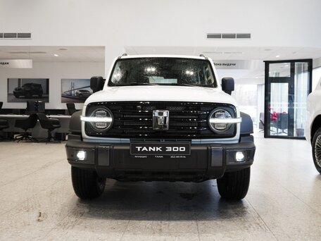 Tank 300 I