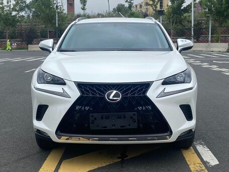 2020 Lexus NX 200 I Рестайлинг, белый, 2510000 рублей, вид 2