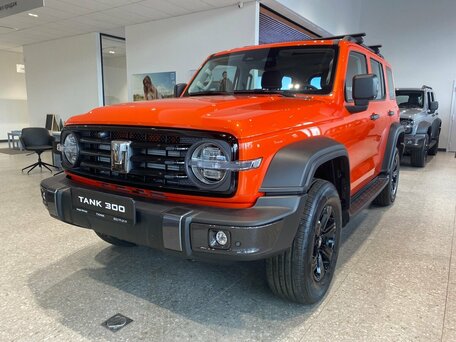 Tank 300 I