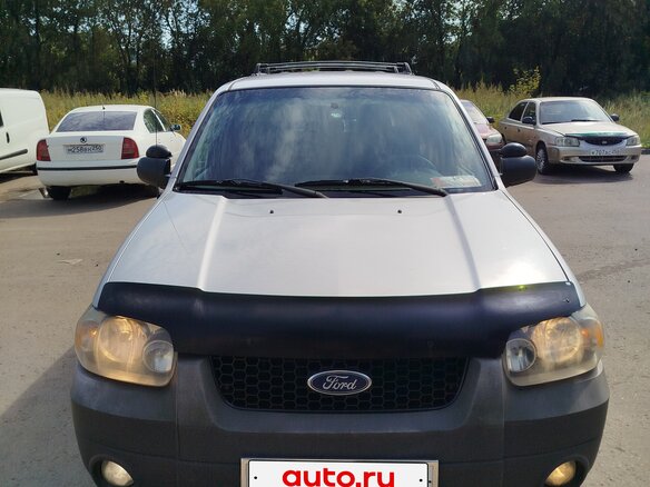 2004 Ford Escape I Рестайлинг, серый - вид 1