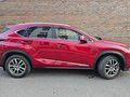 2019 Lexus NX 200 I Рестайлинг, красный, 3650000 рублей - вид 7