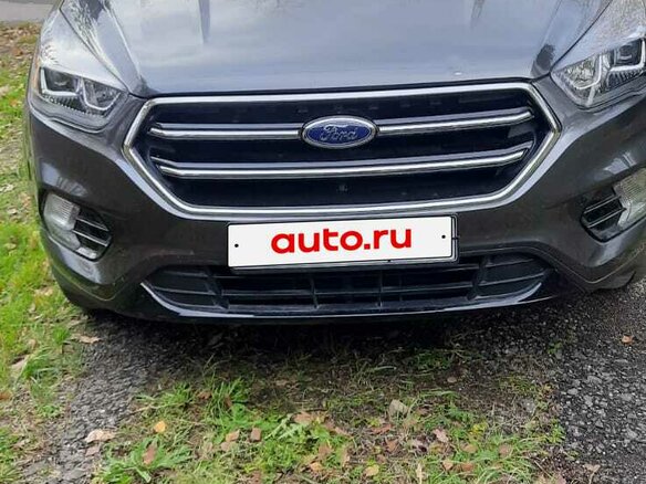 2018 Ford Escape III Рестайлинг, серый, 1450000 рублей - вид 1