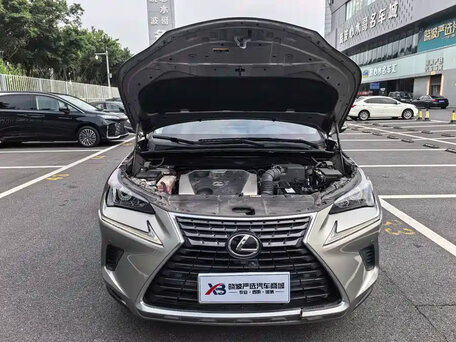 2021 Lexus NX 200 I Рестайлинг, серый, 2500000 рублей, вид 2