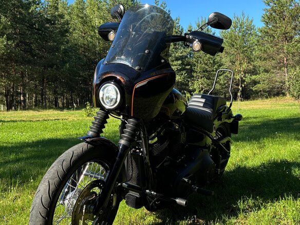 2019 Harley-Davidson Softail Custom, коричневый, 971000 рублей - вид 8
