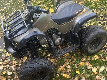 2019 Irbis ATV 125U, золотистый, 89000 рублей, вид 3