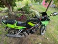 2013 Racer Skyway, зелёный, 59000 рублей - вид 1