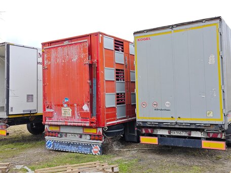 2012 Kogel SN24, серый, 873990 рублей, вид 2