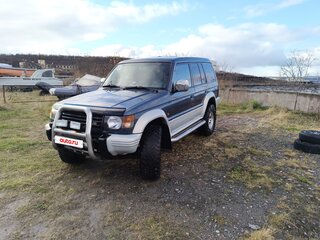 1994 Mitsubishi Pajero II, голубой, 799000 рублей, вид 1