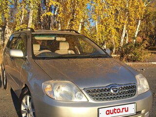 2001 Toyota Corolla Fielder IX (E120, E130), серый, 515000 рублей, вид 1